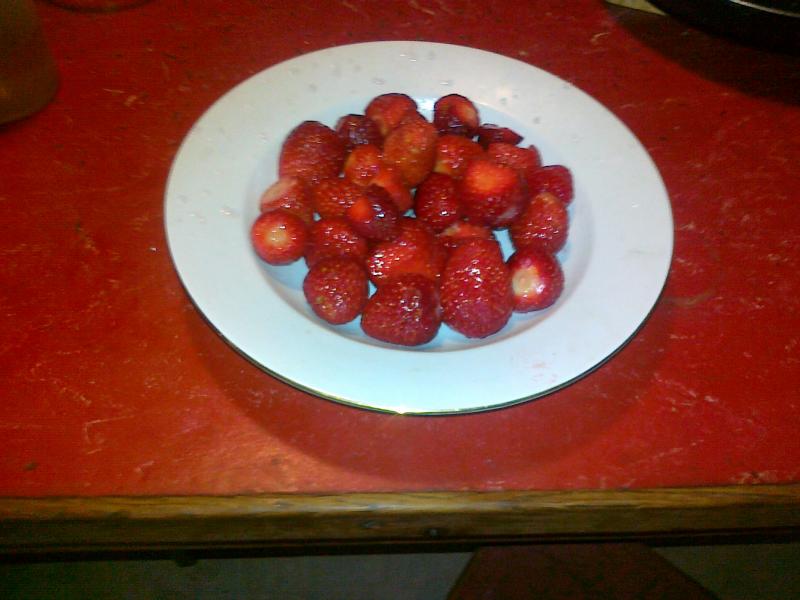 jordbær